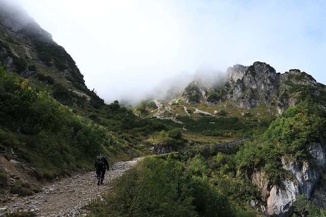 hiking, trails, nature, mountains, forests, scenic