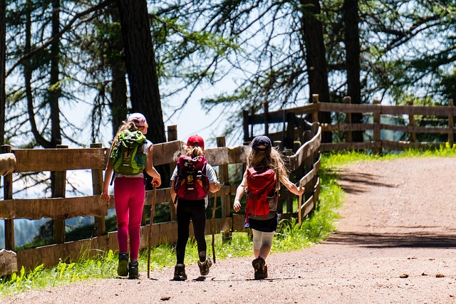 hiking, trails, nature, mountains, forests, scenic