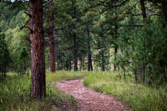 hiking-trails-nature-mountains-forests-s-640x480-64594029.jpeg