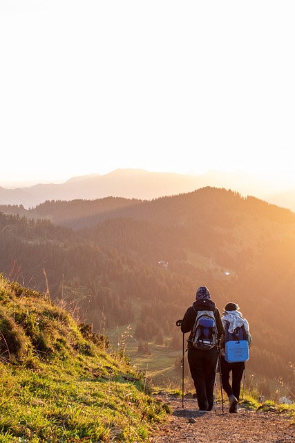 hiking, trails, nature, mountains, forests, scenic