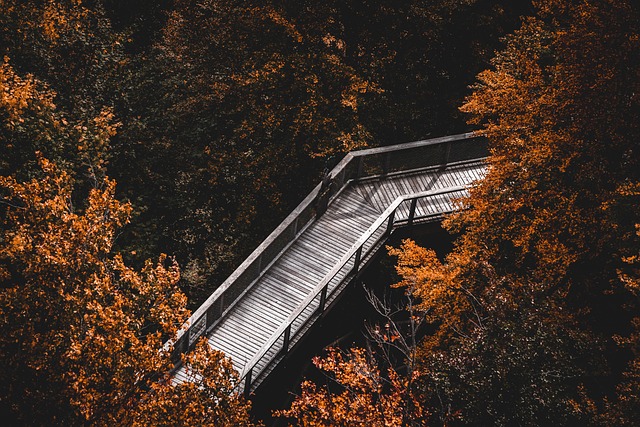 hiking, trails, nature, mountains, forests, scenic