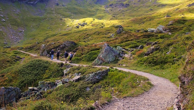 hiking, trails, nature, mountains, forests, scenic