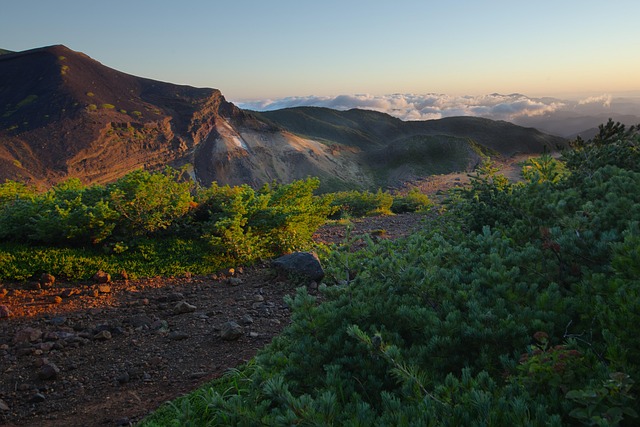hiking, trails, nature, mountains, forests, scenic
