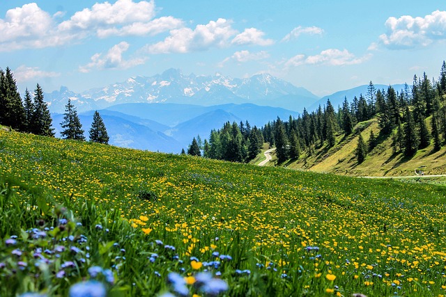 hiking, trails, nature, Oregon, Eugene, landscape