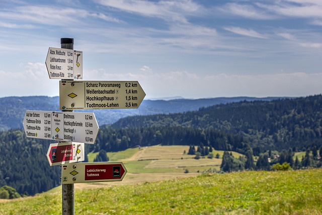 hiking, trails, nature, Oregon, Eugene, landscape
