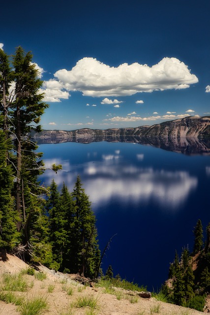 hiking, trails, nature, Oregon, Eugene, landscape