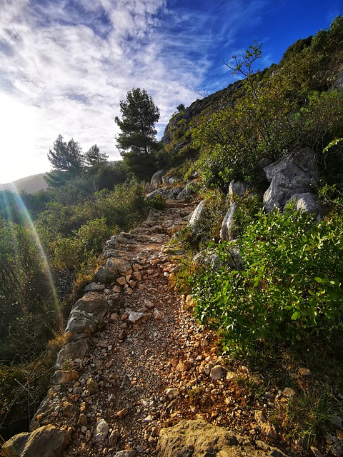 hiking, trails, nature, Oregon, Eugene, landscape