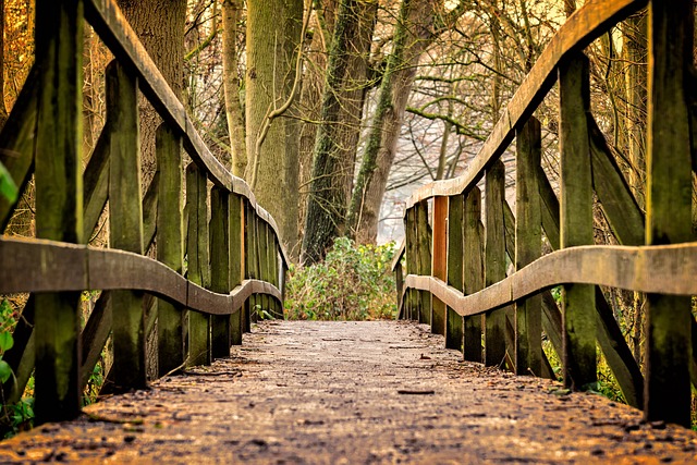 hiking-trails-nature-oregon-eugene-lands-640x480-70906105.jpeg