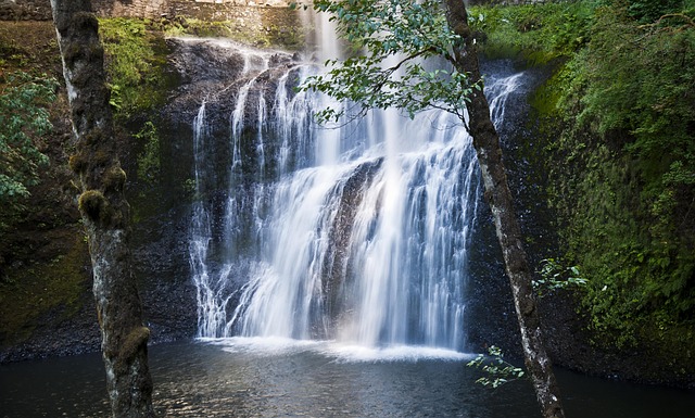 hiking-trails-nature-oregon-eugene-lands-640x480-77941121.jpeg