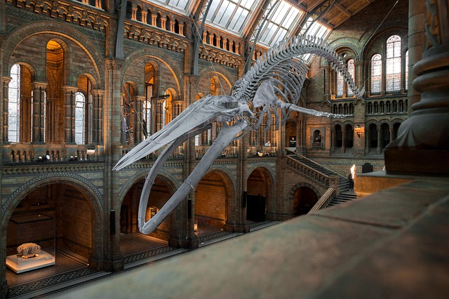 Historic, Landmarks, Architecture, Heritage, Museum, History