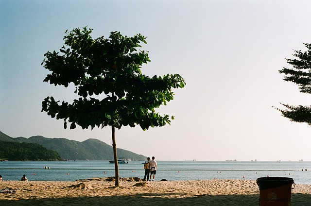holiday