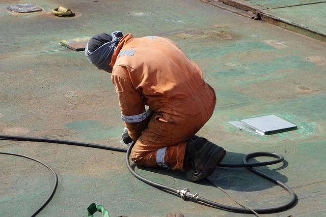 hospitality, screening, safety, employees, verification, guests
