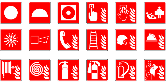 hospitality, screening, safety, employees, verification, guests
