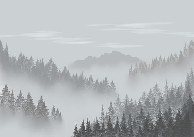 humidity