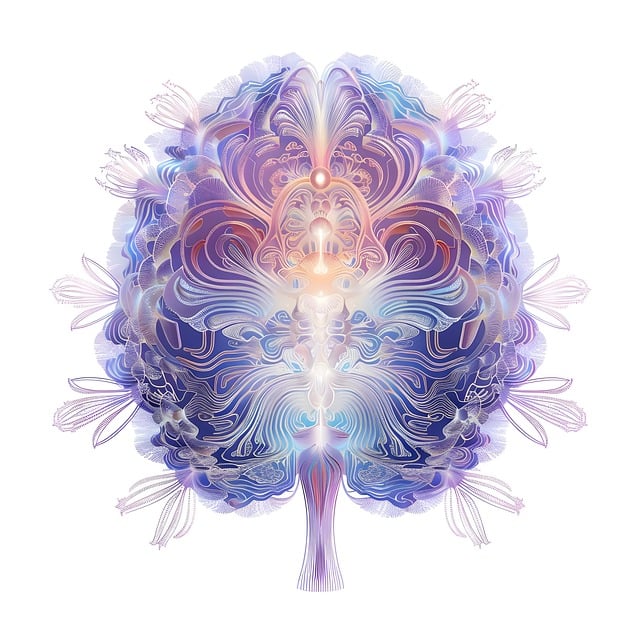 insights