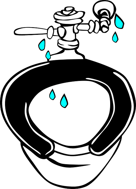 ?inspection, plumbing, regular, maintenance, leak, efficiency