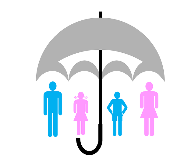 insurance, claim, coverage, damage, homeowner, policy