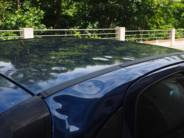 insurance, claim, coverage, damage, homeowner, policy