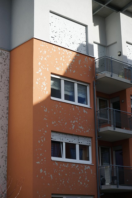 Navigating Business Insurance Claim for Mold Damage: A Step-by-Step Guide