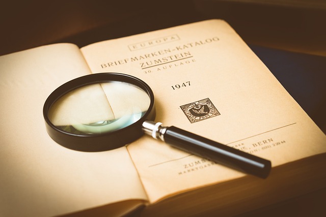 investigation
