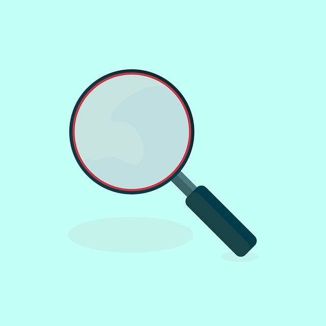 investigation