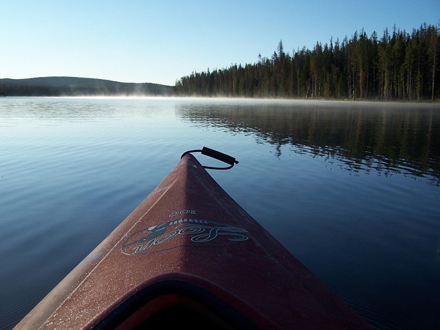kayaking, river, paddle, nature, adventure, wildlife