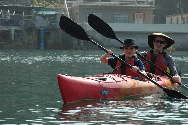 kayaking, river, paddle, nature, adventure, wildlife