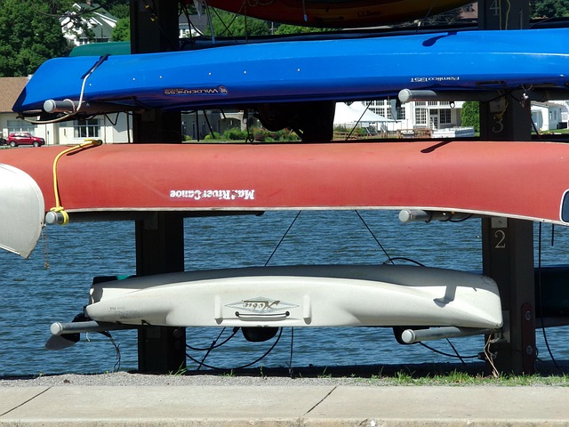 kayaking, river, paddle, nature, adventure, wildlife