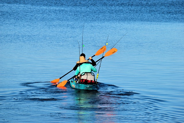 kayaking, river, paddle, nature, adventure, wildlife