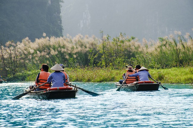 kayaking, river, paddle, nature, adventure, wildlife