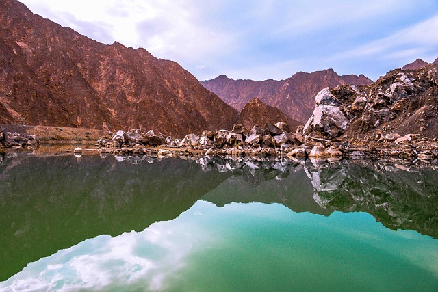 kayaking, river, paddle, nature, adventure, wildlife