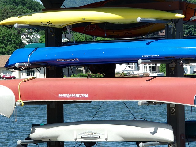 kayaking, river, paddle, nature, adventure, wildlife