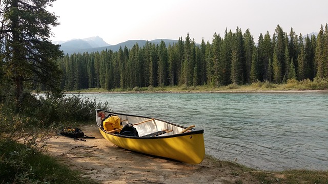 kayaking, river, paddle, nature, adventure, wildlife