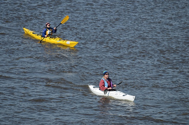 kayaking, river, paddle, nature, adventure, wildlife