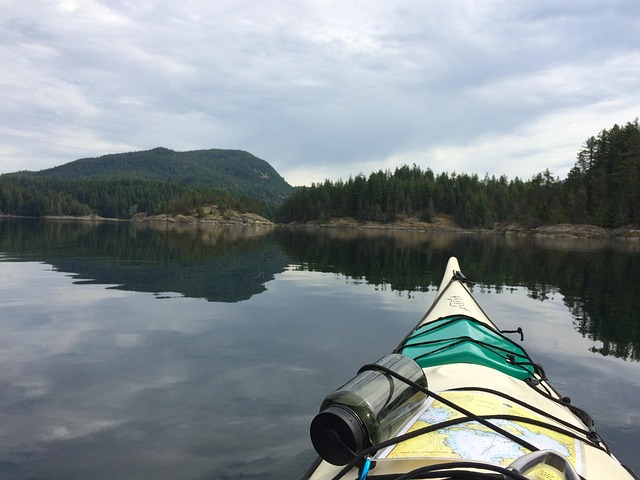 kayaking, river, paddle, nature, adventure, wildlife