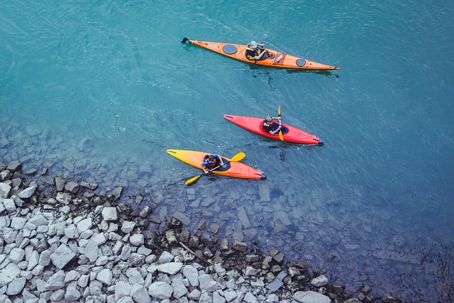 kayaking, river, paddle, nature, adventure, wildlife
