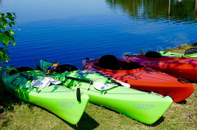kayaking, river, paddle, nature, adventure, wildlife