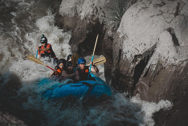 kayaking, river, paddle, nature, adventure, wildlife