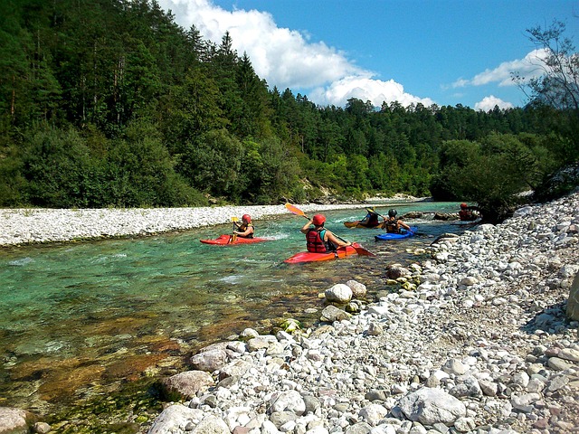 kayaking, river, paddle, nature, adventure, wildlife