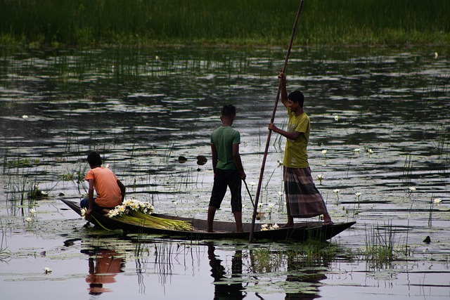 kayaking, rivers, lakes, adventure, nature, paddling
