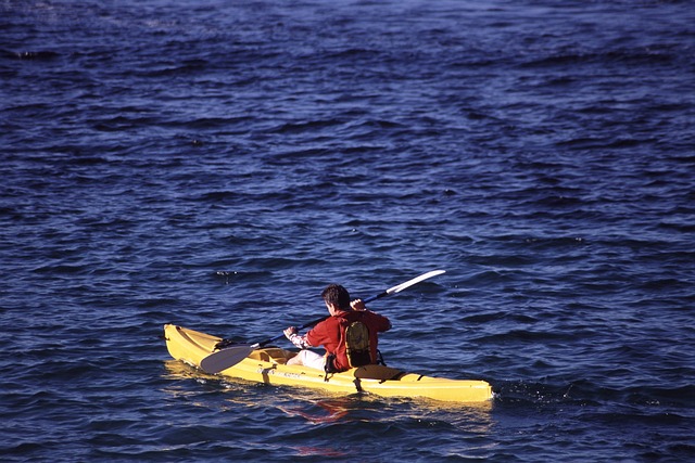 kayaking, rivers, lakes, adventure, nature, paddling