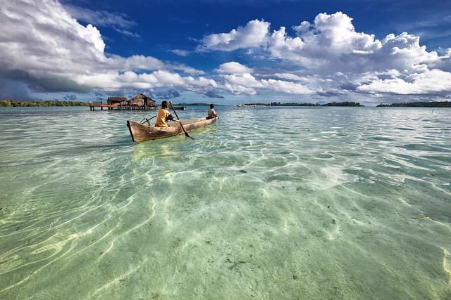 kayaking, rivers, lakes, adventure, nature, paddling