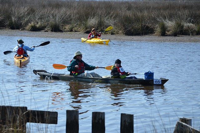kayaking, rivers, lakes, adventure, nature, paddling