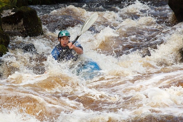 kayaking, rivers, lakes, adventure, nature, paddling