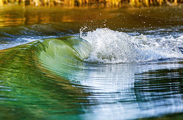kayaking, water, paddleboard, adventure, lake, river