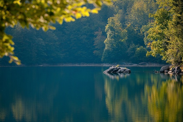 kayaking, water, paddleboard, adventure, lake, river