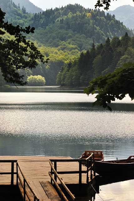 kayaking, water, paddleboard, adventure, lake, river
