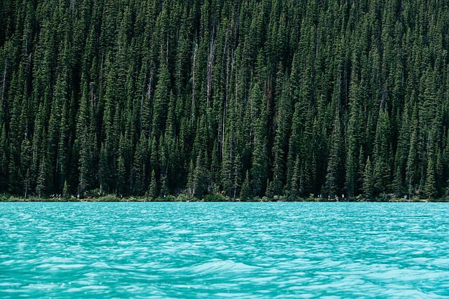 kayaking, water, paddleboard, adventure, lake, river