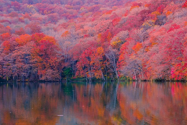 lake