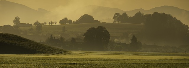 landscape